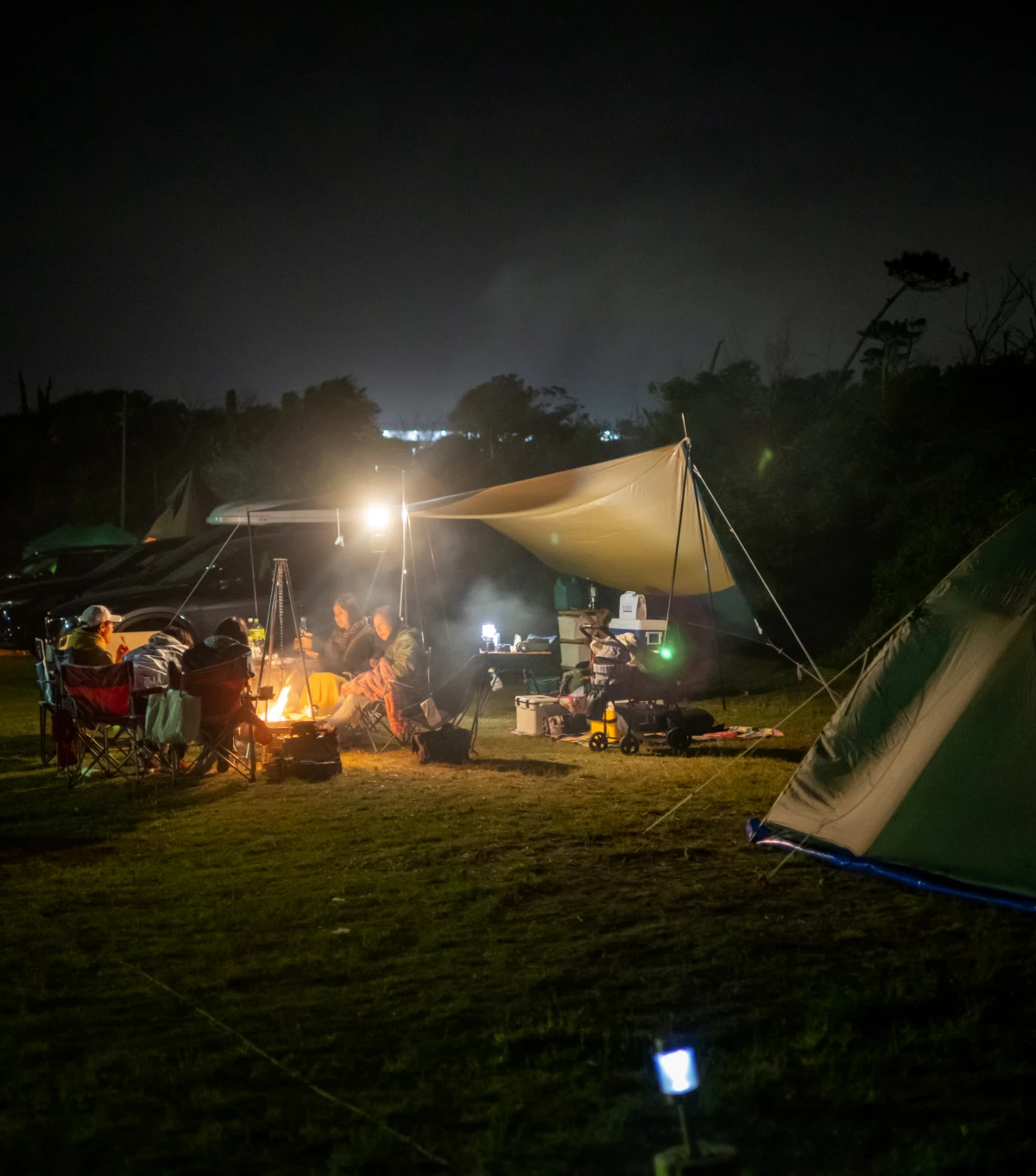 Friends enjoying a campfire under the stars.